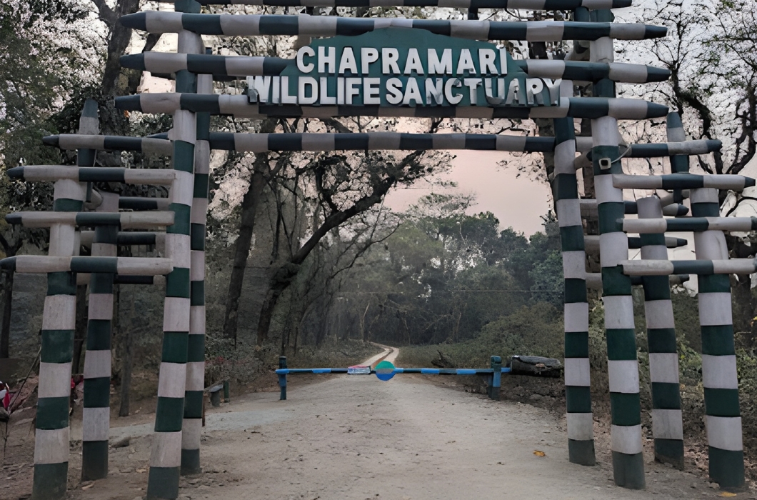 Chapramari Wildlife Sanctuary