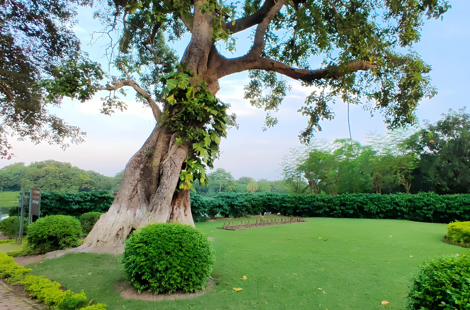 Natural views inside Firoz Minar