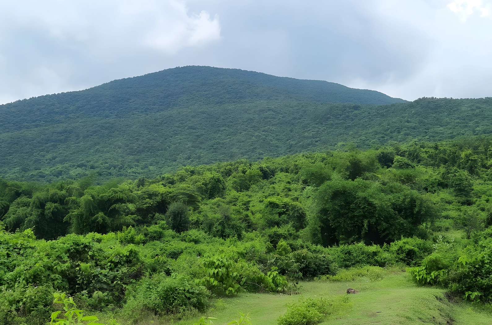 Garh Panchkot Hill views