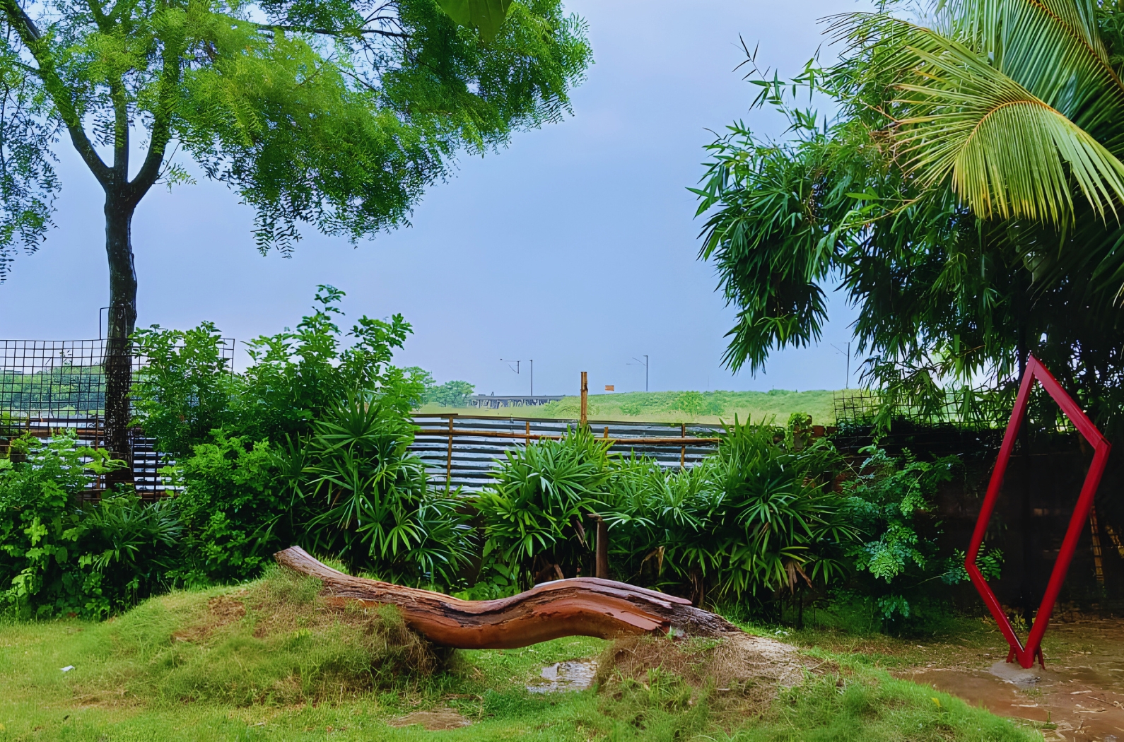 Inside Juthi Kunjo Park