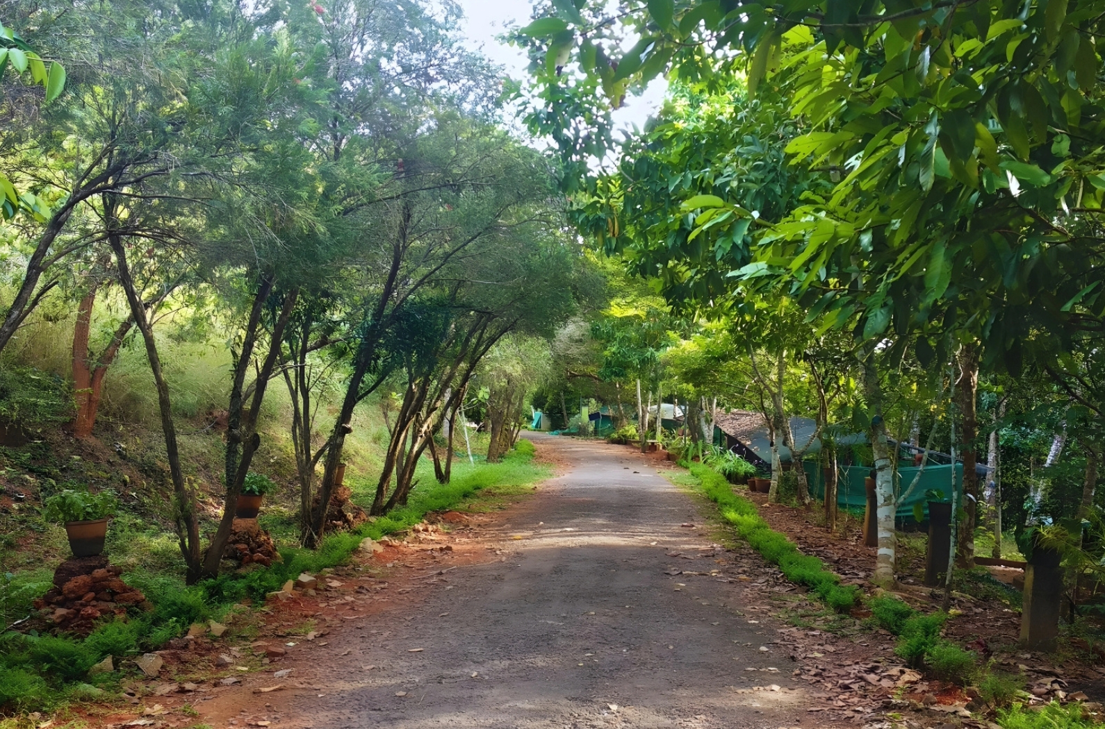 Inside views of Malabar Botanical Garden [KSCSTE MBGIPS]