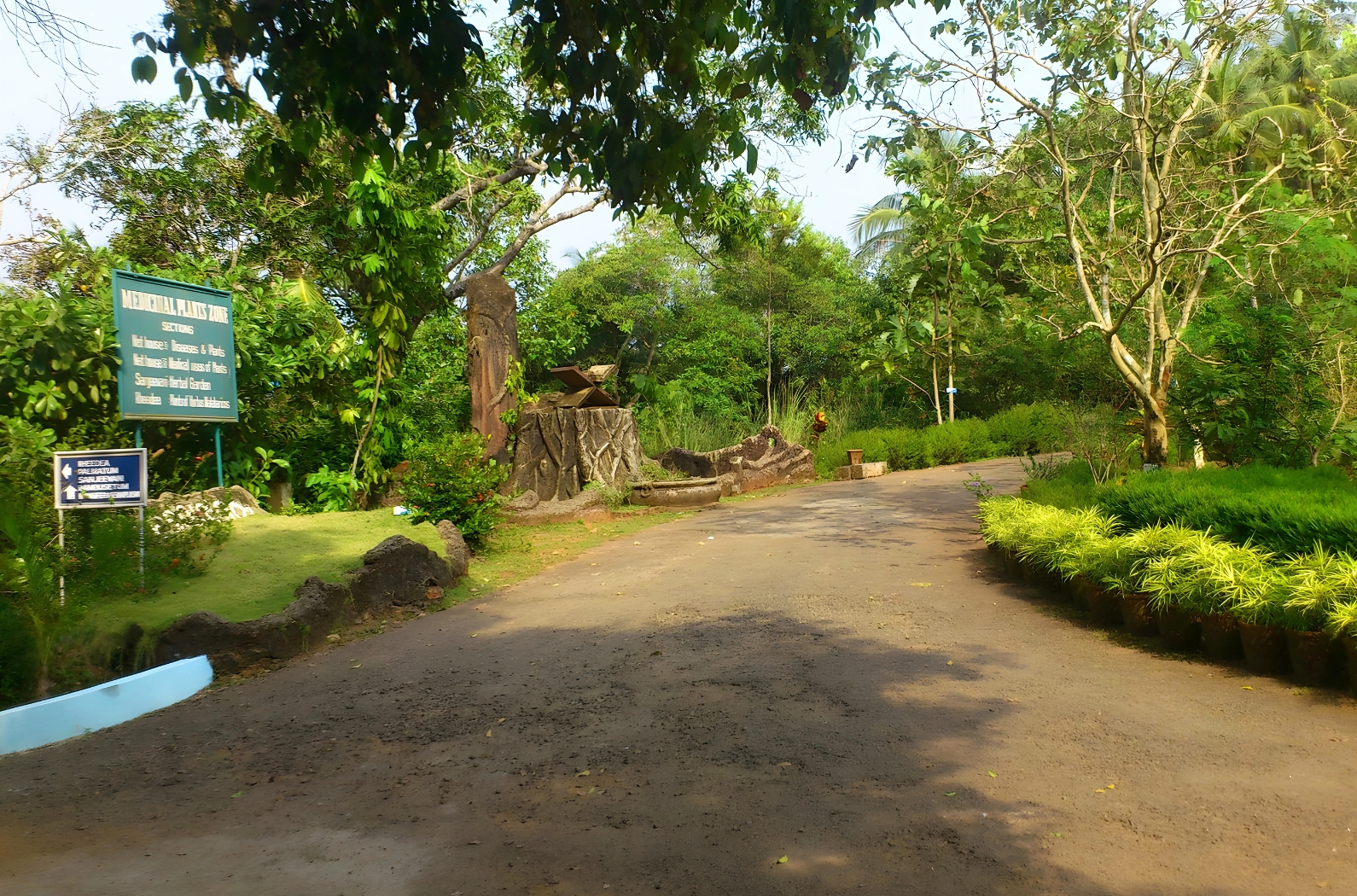 Green plants in Malabar Botanical Garden [KSCSTE MBGIPS]
