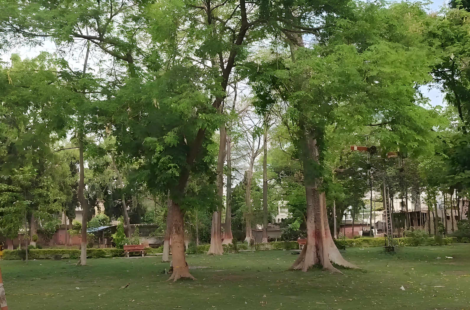 Lash green field, trees & bench to sit inside Malda Railway Park