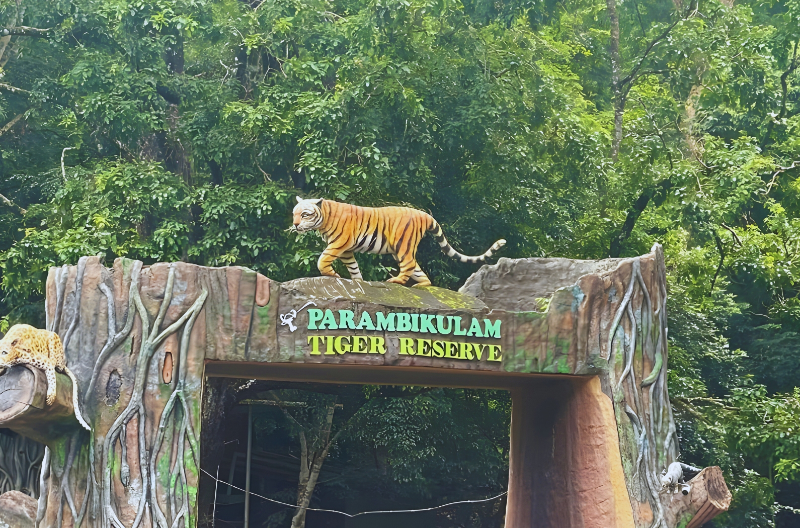 Parambikulam Tiger Reserve