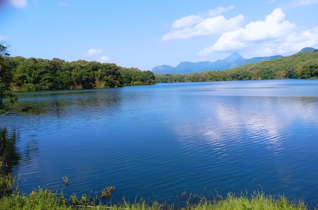 Parambikulam Tiger Reserve