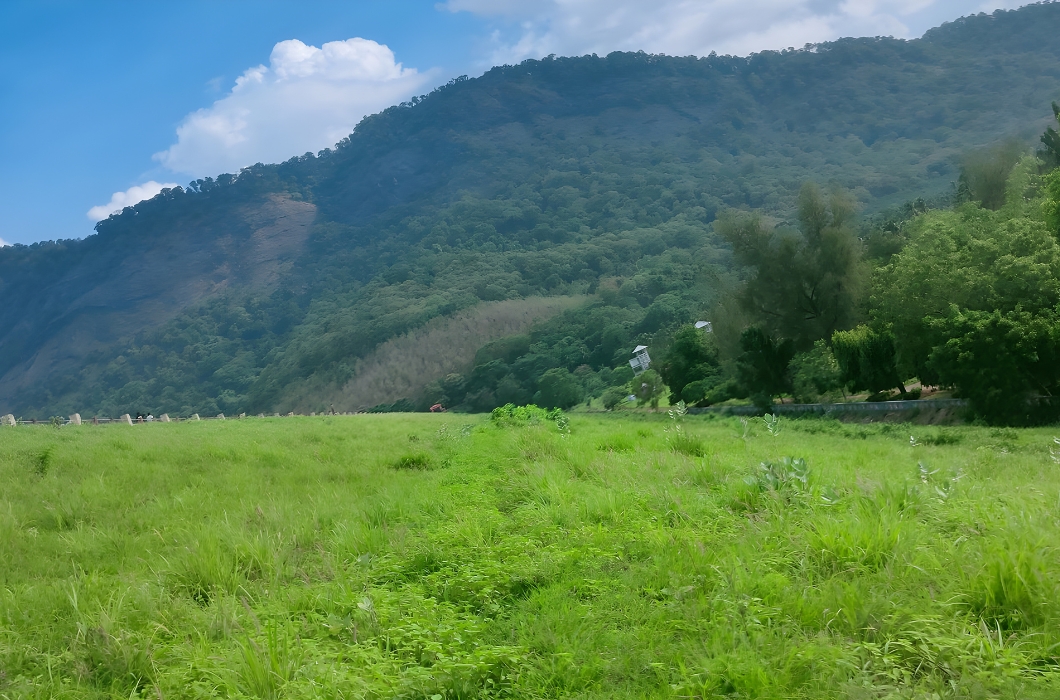 Green natures Lap in Pothundy Dam View Point