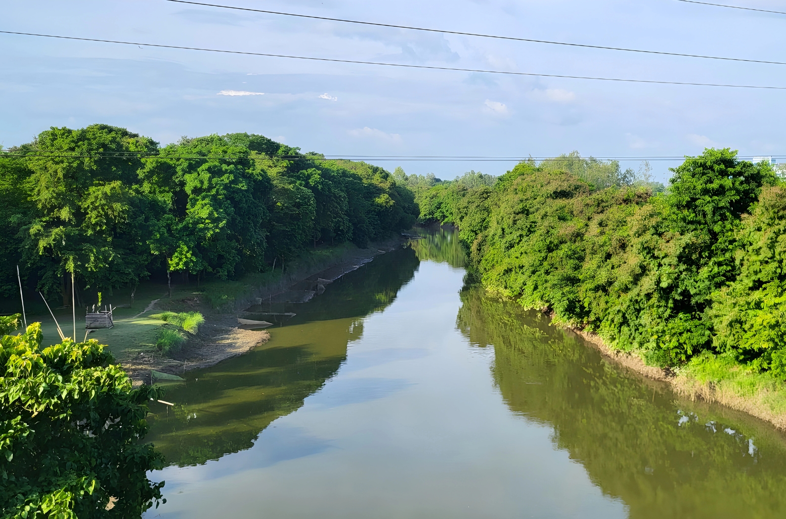 Raiganj (Kulik) Bird & Wildlife Sanctuary