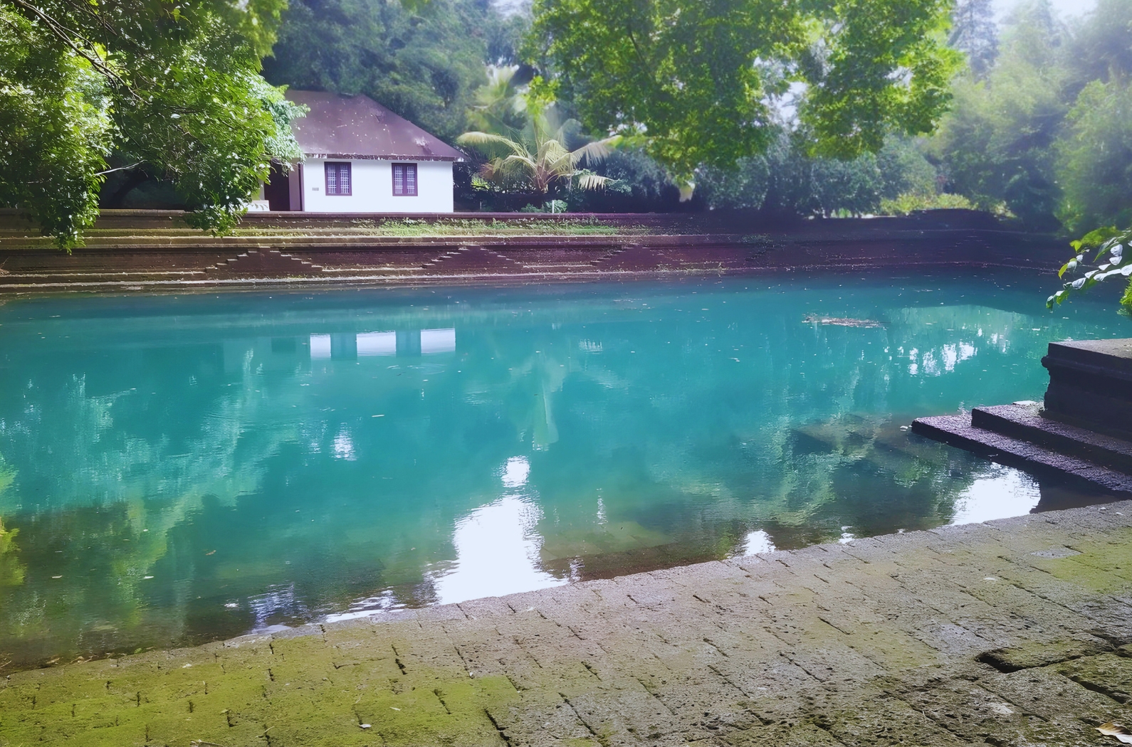 Pleasant Attraction of Muchukunnu Kottayil Sree Shiva Temple
