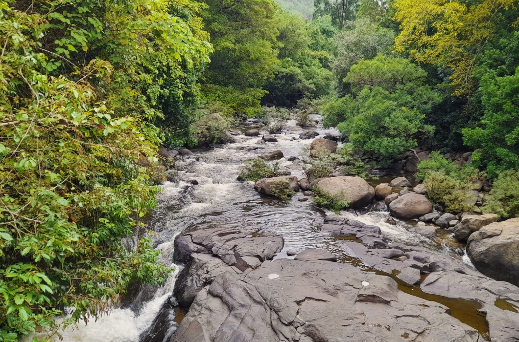 Adyanpara Waterfall