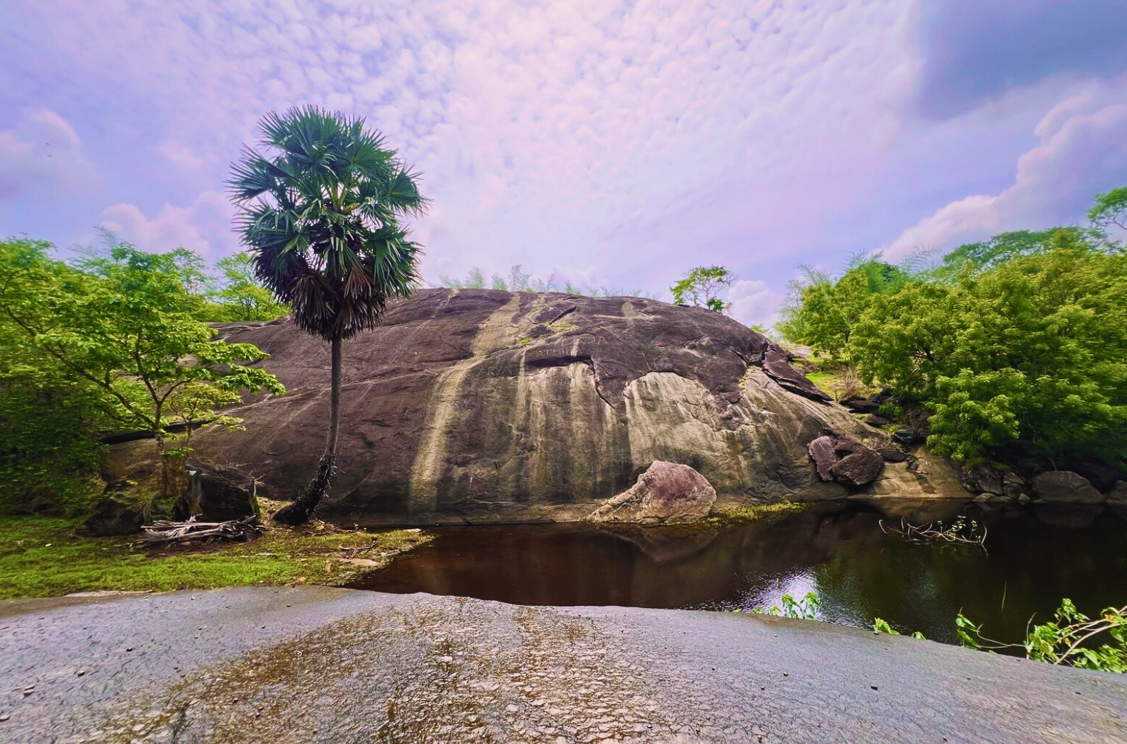 Chulanur Peafowl Sanctuary