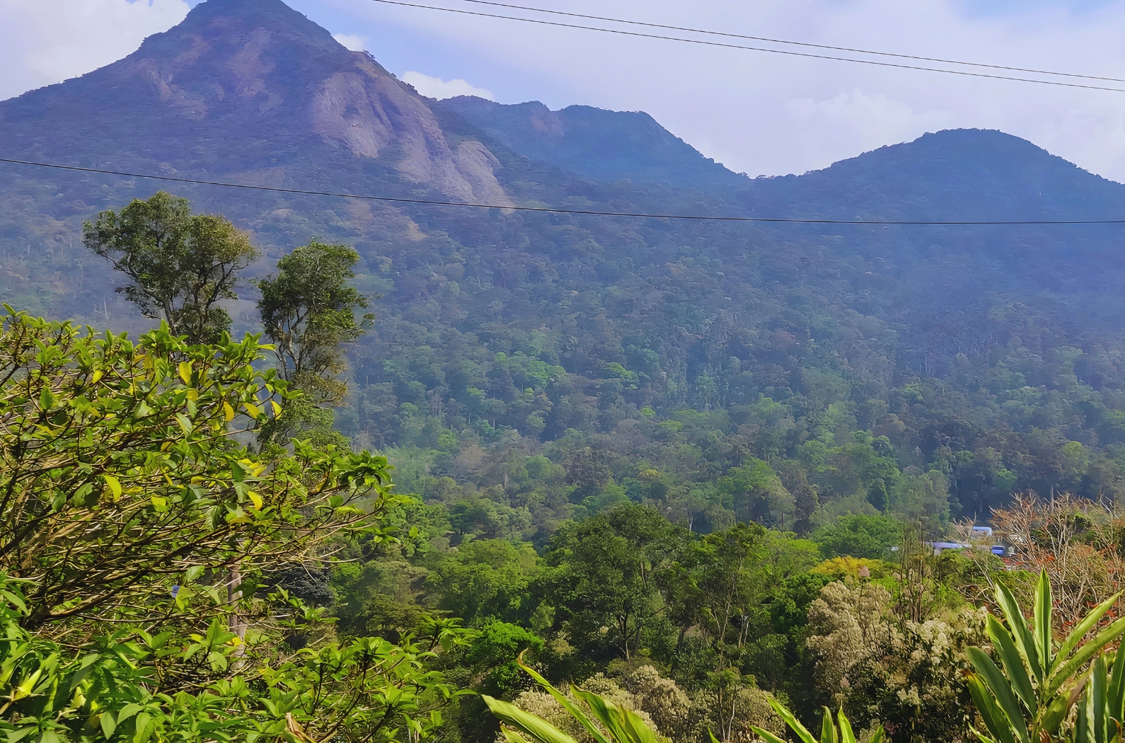 Mathikettan Shola National Park