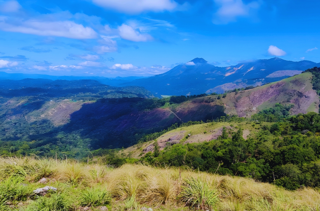 Mathikettan Shola National Park