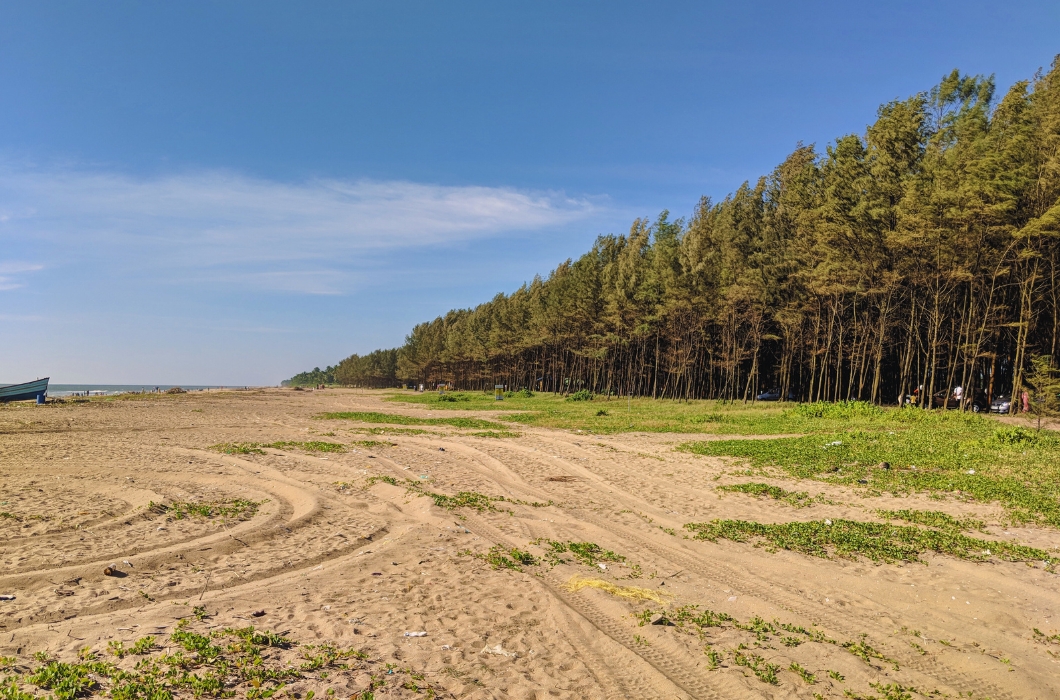 Padinjarekkara Azhimukham Beach