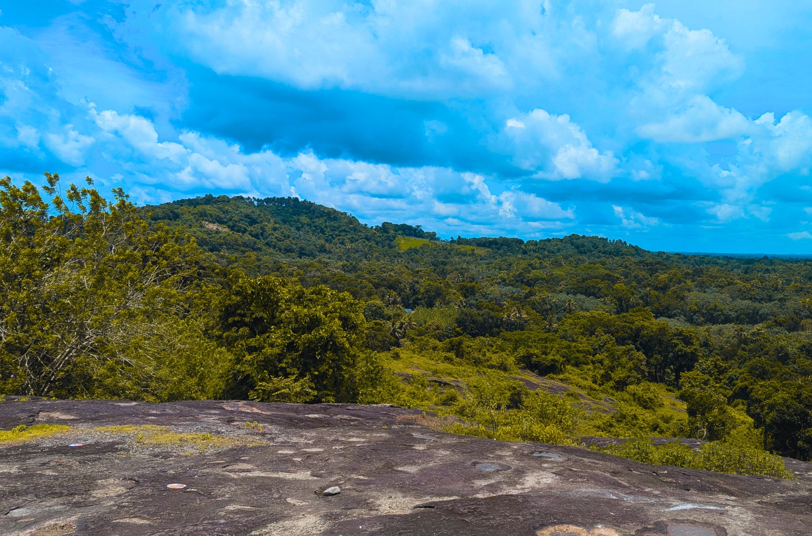 Puliyanipara