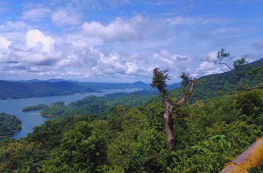 Rosemala View Point