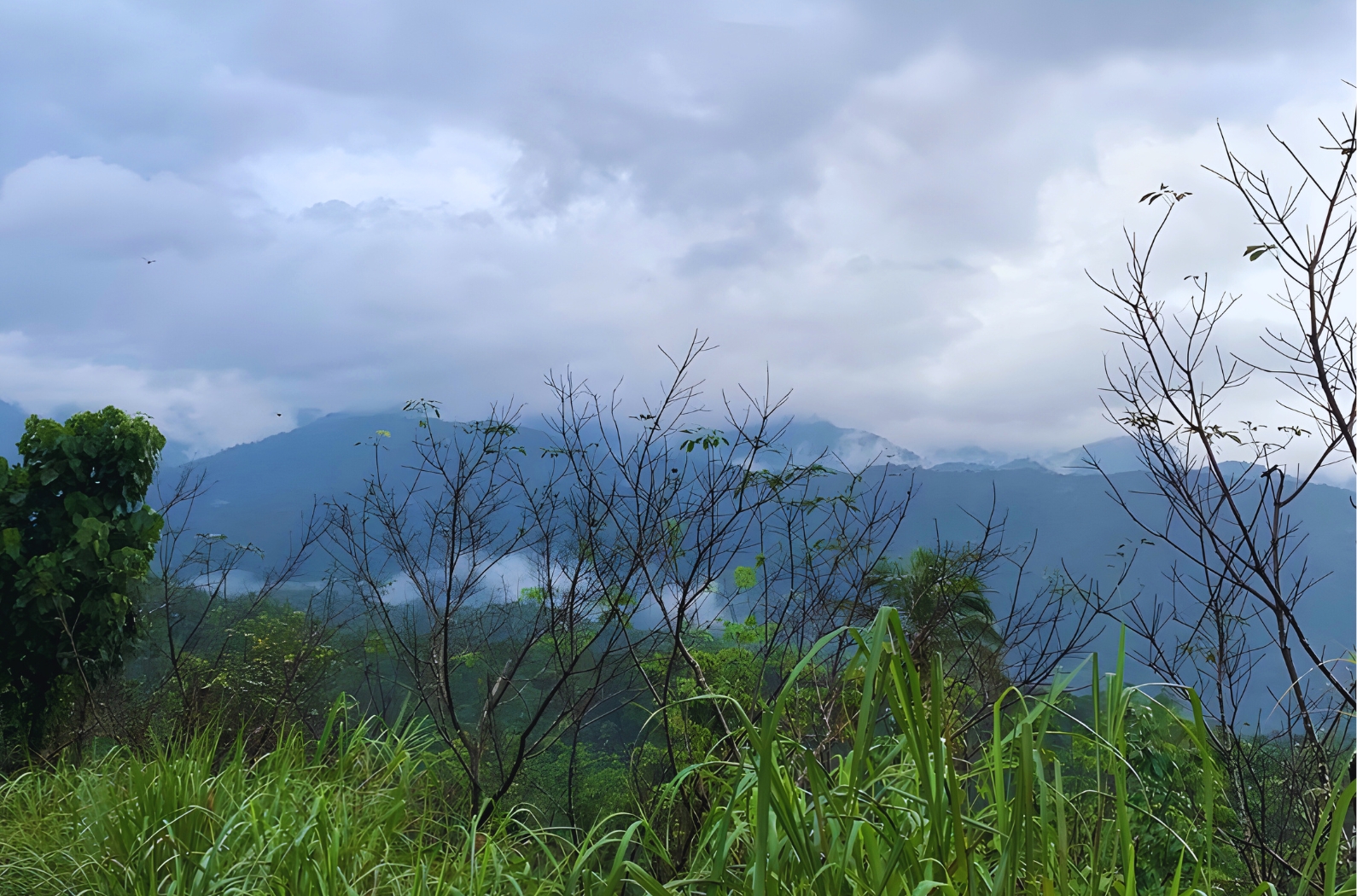 SASIPPARA VIEWPOINT