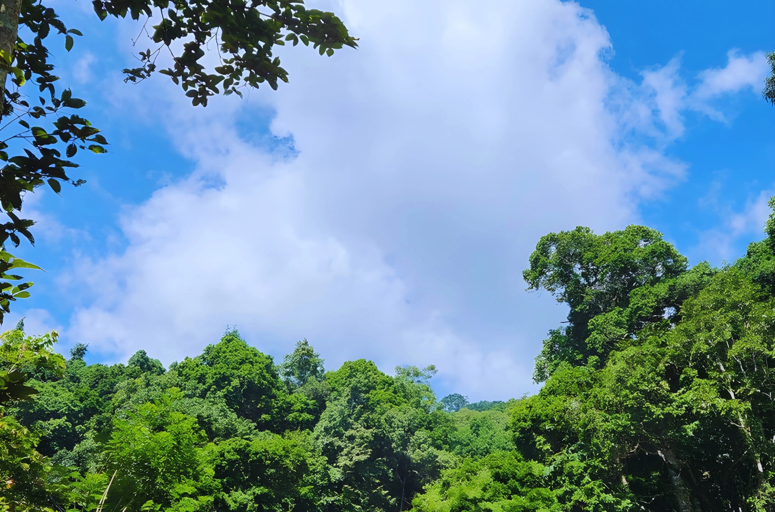 Soochipara Waterfalls