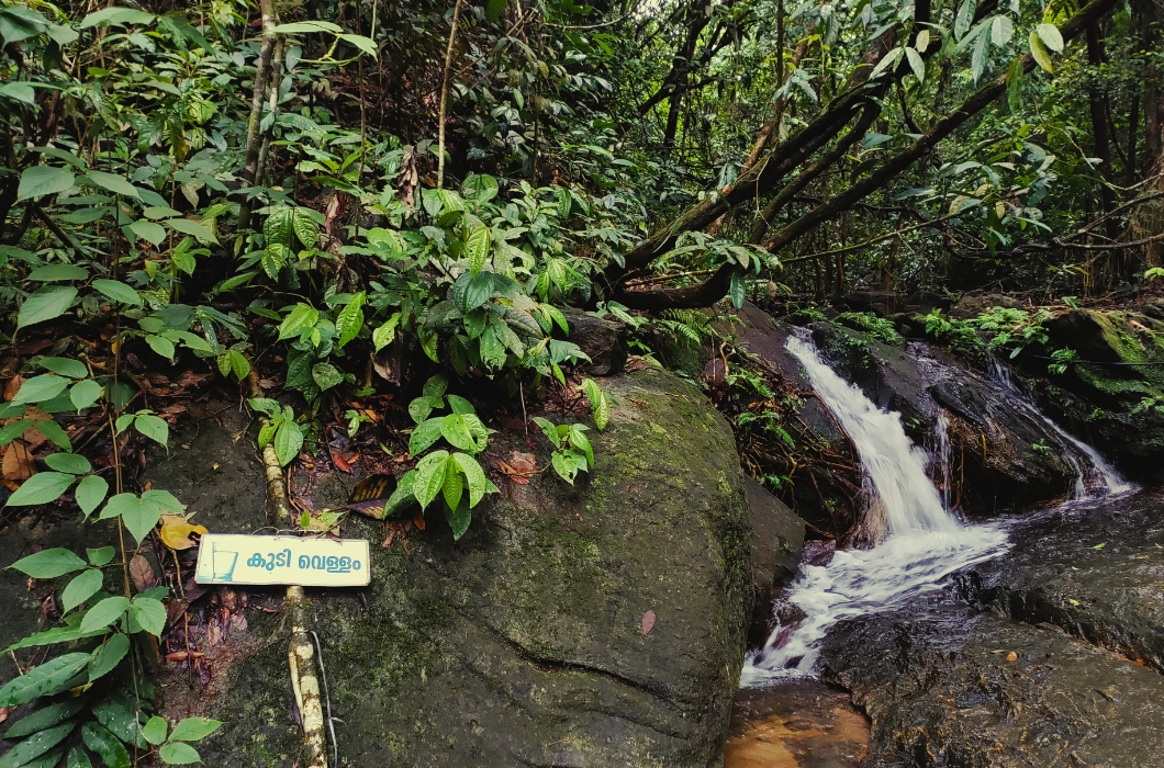 Urakkuzhi Waterfalls