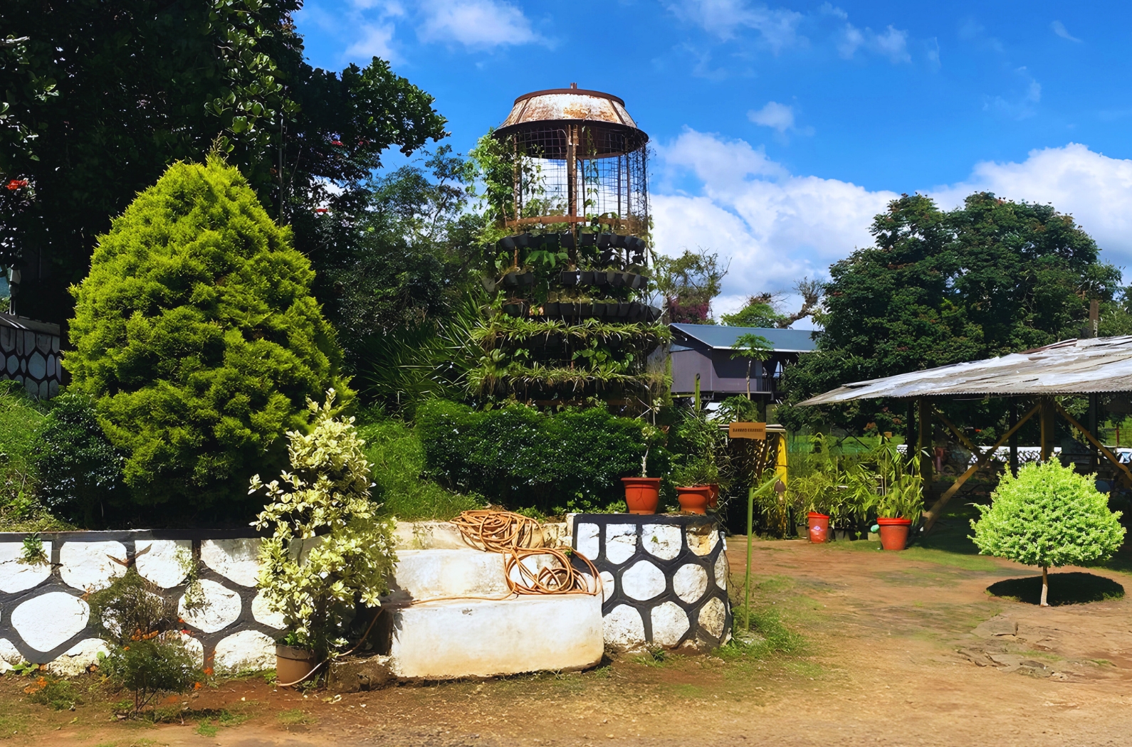 Wayanad Tea Museum