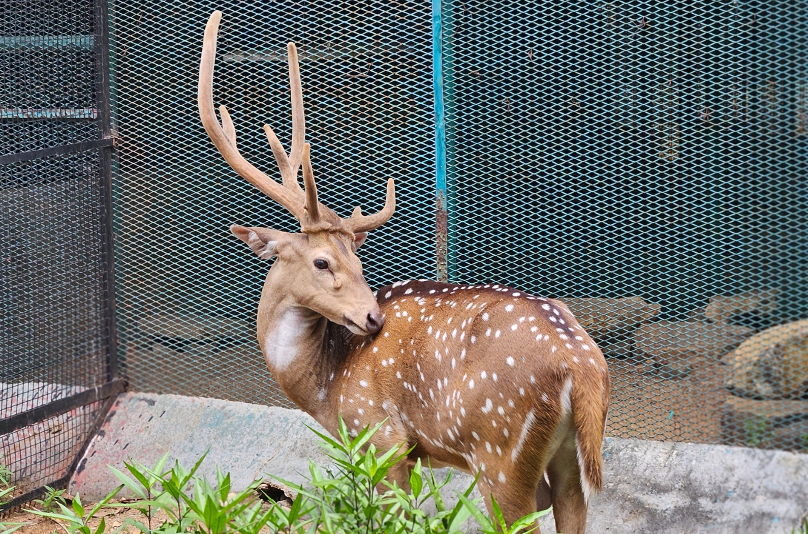 Arignar Anna Zoological Park