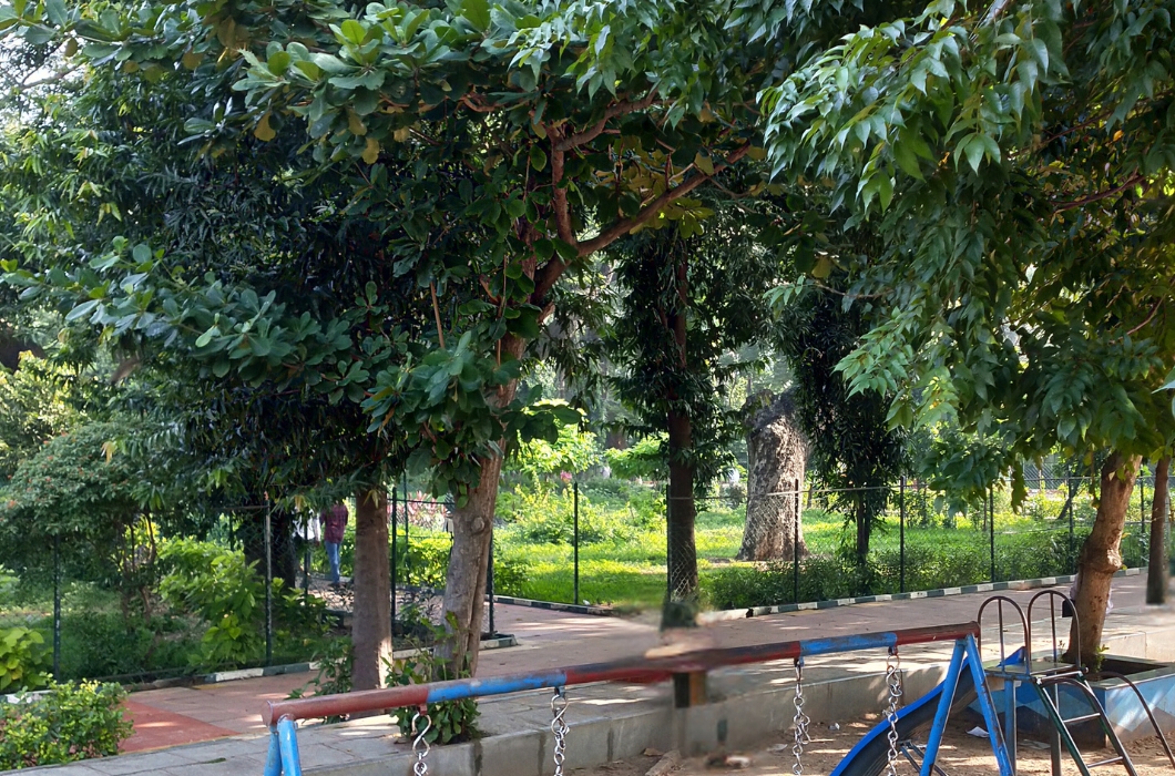 Chennai Corporation Robinson park