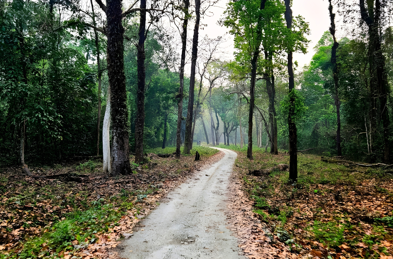 Gorumara National Park