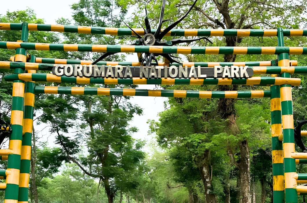 Gorumara National Park