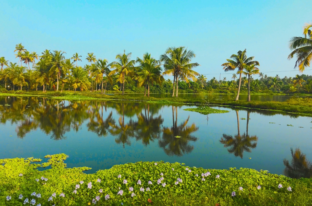 Kakkathuruthu Island