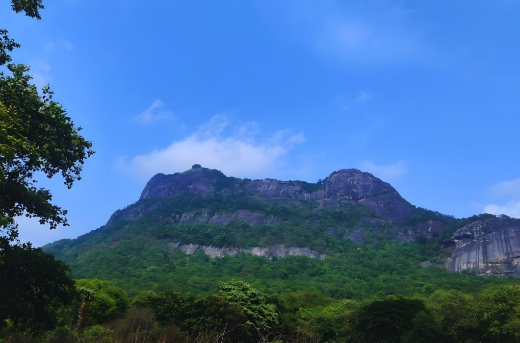 Kava Viewpoint