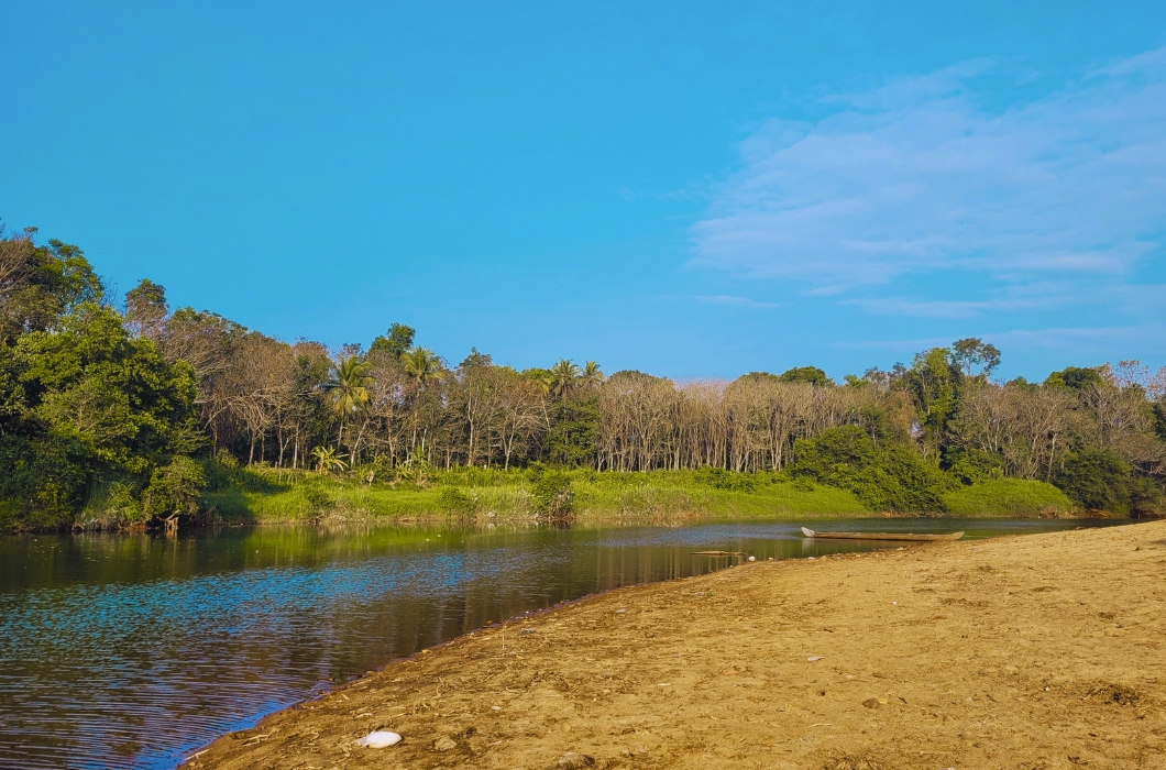 Kavalipuzha Beach