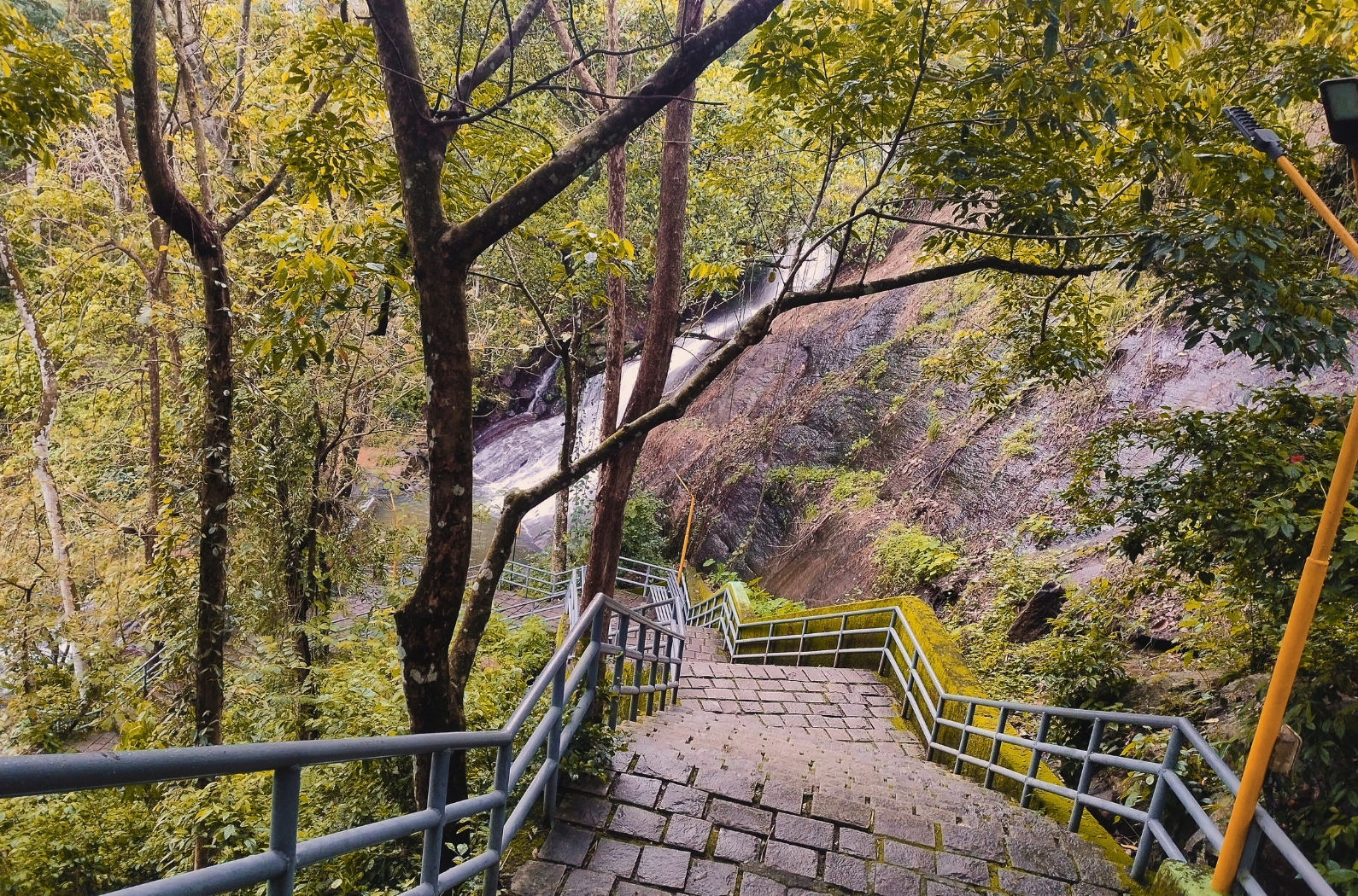 Areeckal waterfalls