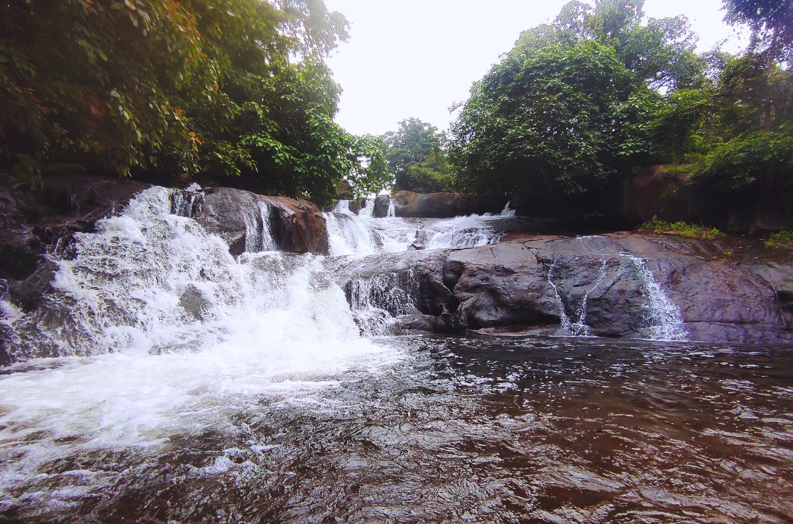 Marottichal Waterfalls & Forest wildlife Sanctuary