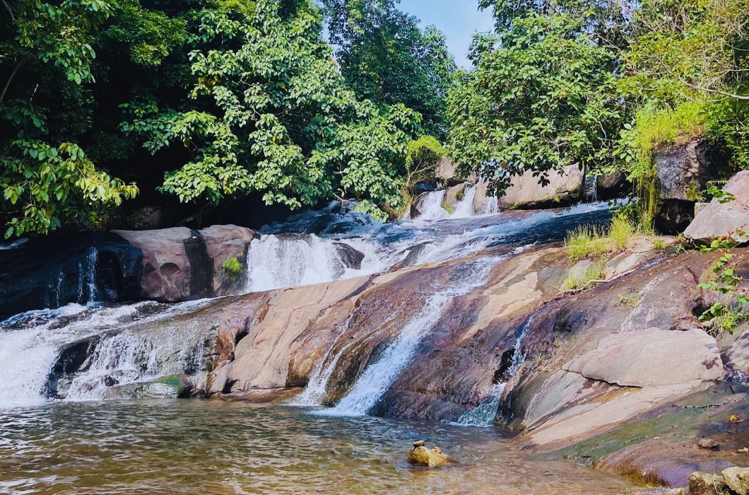 Marottichal Waterfalls & Forest wildlife Sanctuary