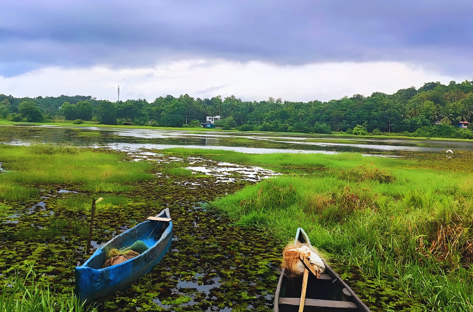 Mavoor Wetlands