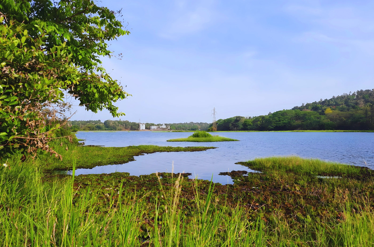 Mavoor Wetlands