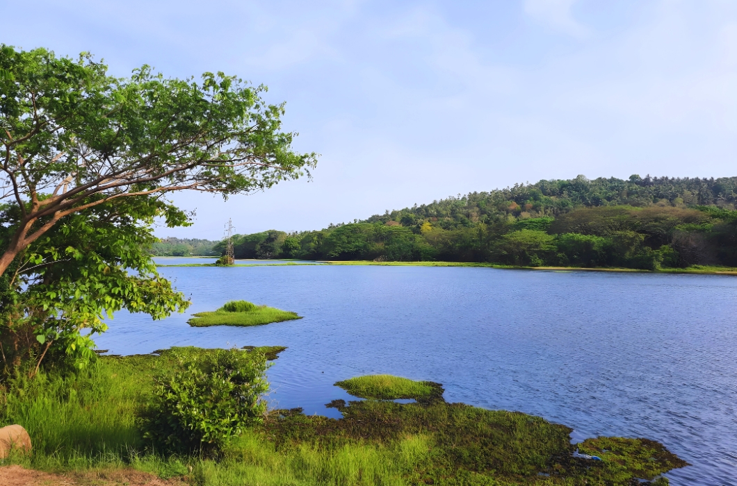 Mavoor Wetlands