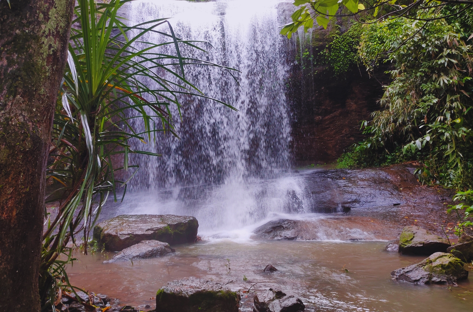 Nariyampara Triple Waterfalls