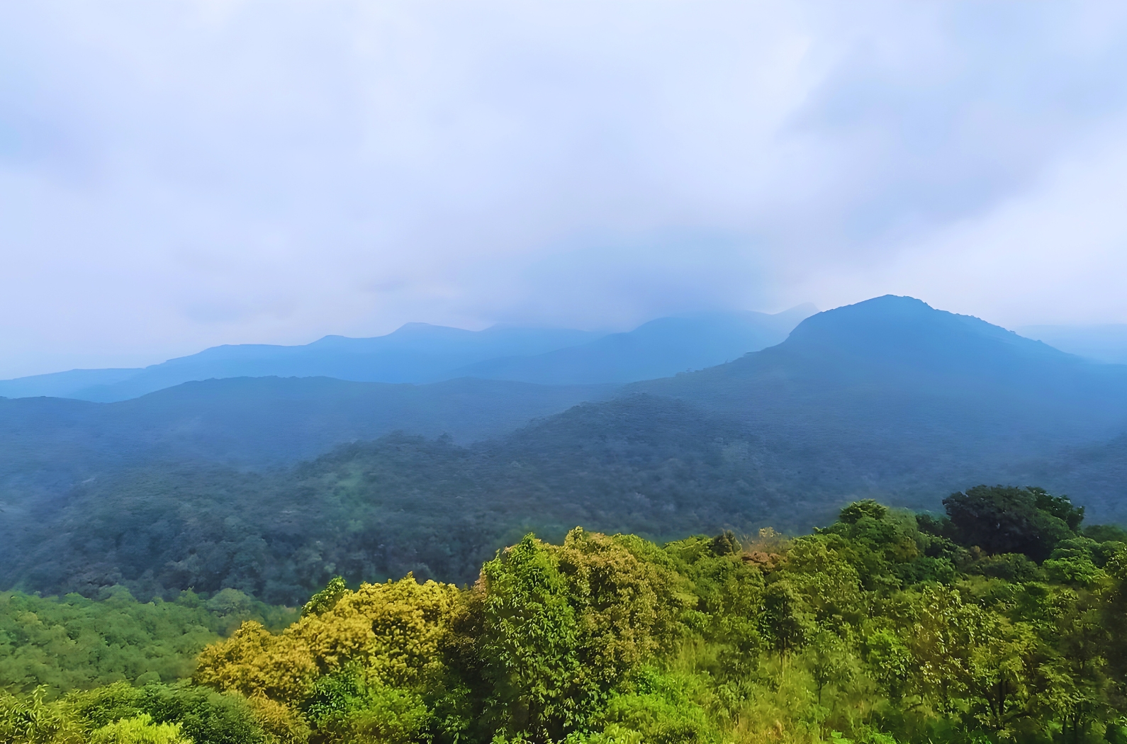 Silent Valley National Park