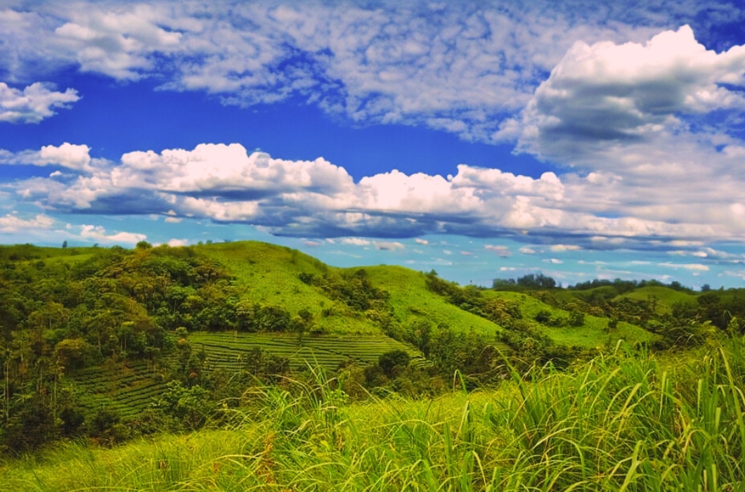 Uluppuni hilltop station