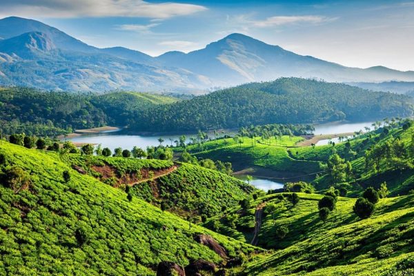 Tea plantations and Muthirappuzhayar River in hills near Munnar, Kerala, India.