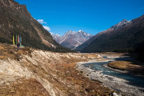 Lachung river flowing through Yumthang valley in North Sikkim, India